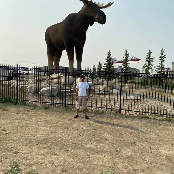 Meet your Posher, Alberto - Picture 1 of 1